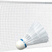 Filet Badminton d&#39occasion en BE