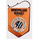 Fanion MONTPELLIER HERAULT SPORT CLUB 40 ANS GRAND modèle
