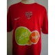 Maillot DFCO Dijon CARRIERE N°10 LFP taille L NIKE
